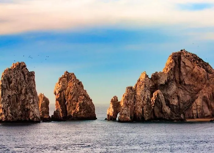 Apartment Cozy And 2 Beds 1 Bath Cabo Marina *